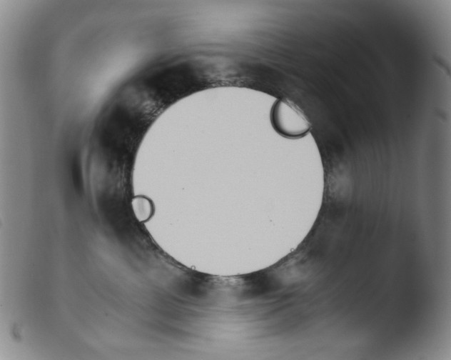 X0000103480429200810241042