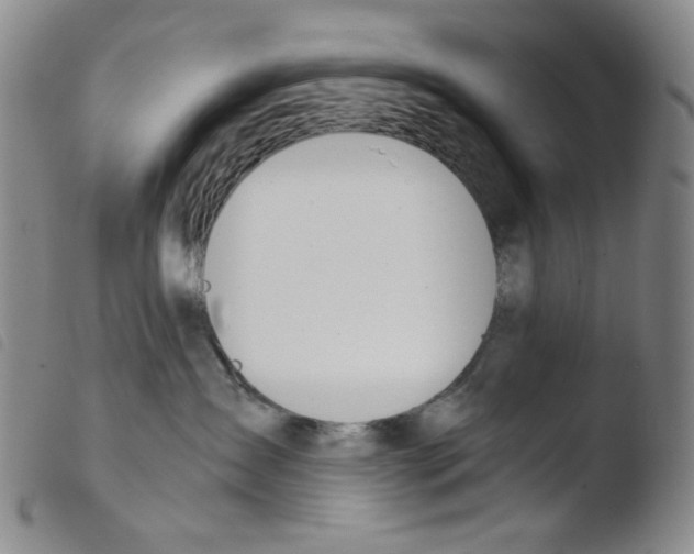X0000103480431200810241042