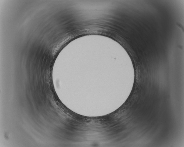X0000103480434200810241041