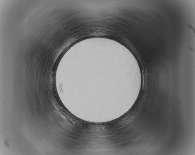 X0000103480435200810241041