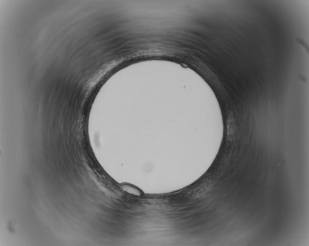 X0000103480436200810241041