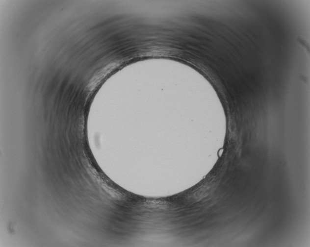 X0000103480437200810241041