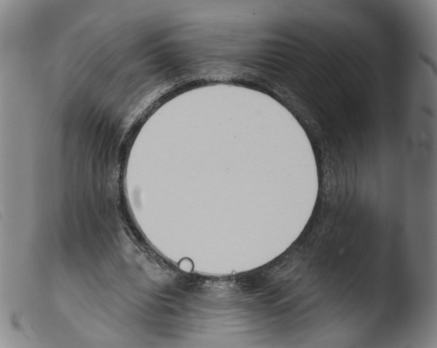 X0000103480440200810241041