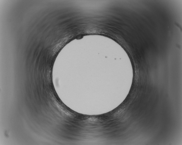 X0000103480441200810241041