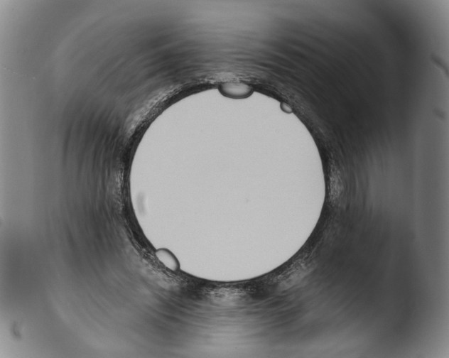 X0000103480444200810241041