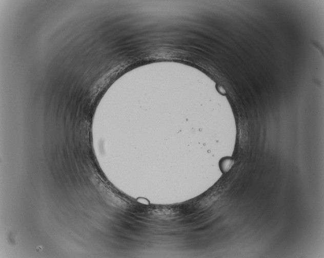 X0000103480445200810241041