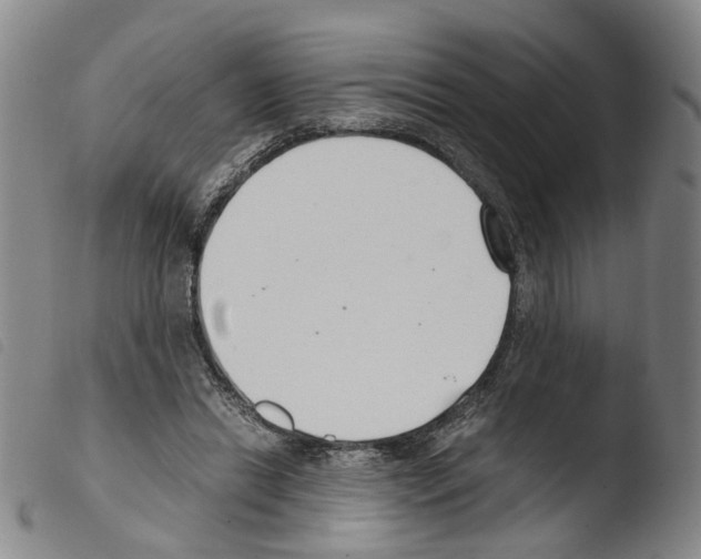 X0000103480446200810241041