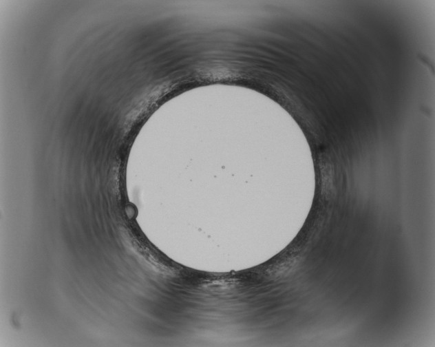 X0000103480447200810241041