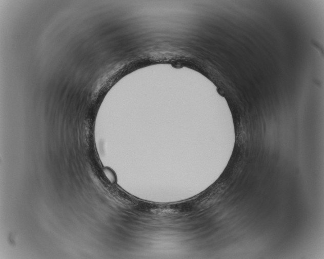 X0000103480448200810241041