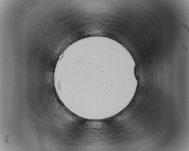 X0000103480449200810241041
