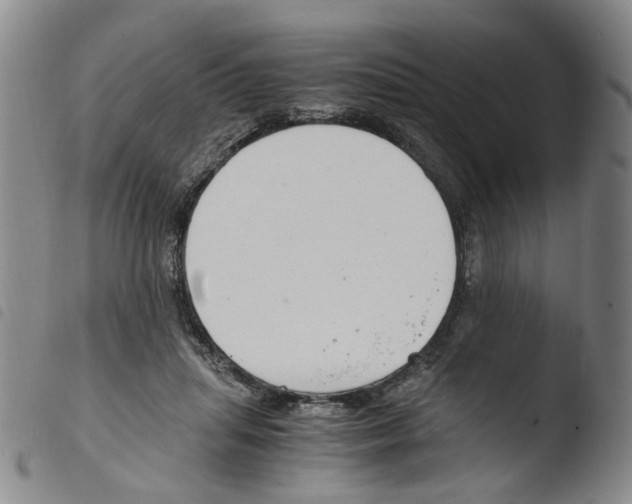 X0000103480455200810241041