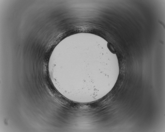 X0000103480456200810241041