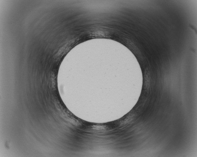 X0000103480457200810241042