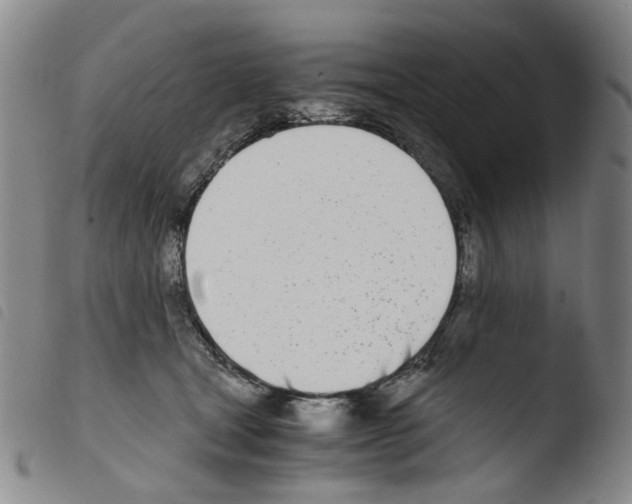 X0000103480465200810241042