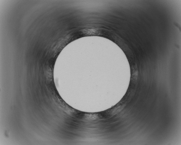 X0000103480469200810241042