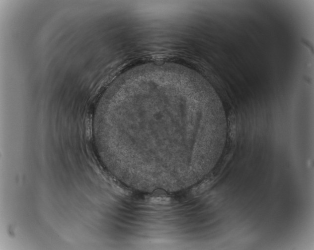 X0000103480471200810241042