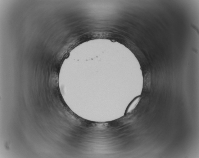 X0000103480474200810241042