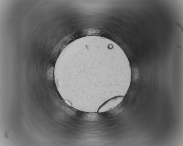 X0000103480475200810241042