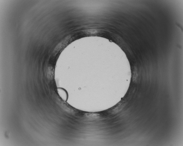 X0000103480476200810241042