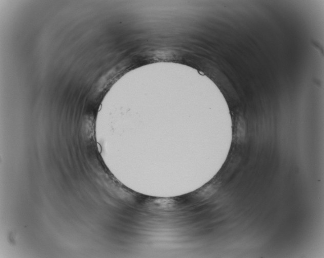 X0000103480478200810241042