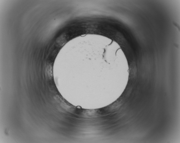 X0000103480479200810241042