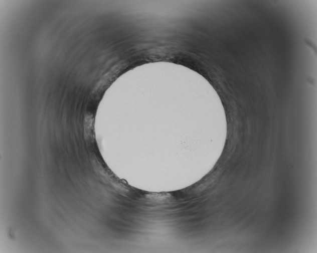 X0000103480480200810241042