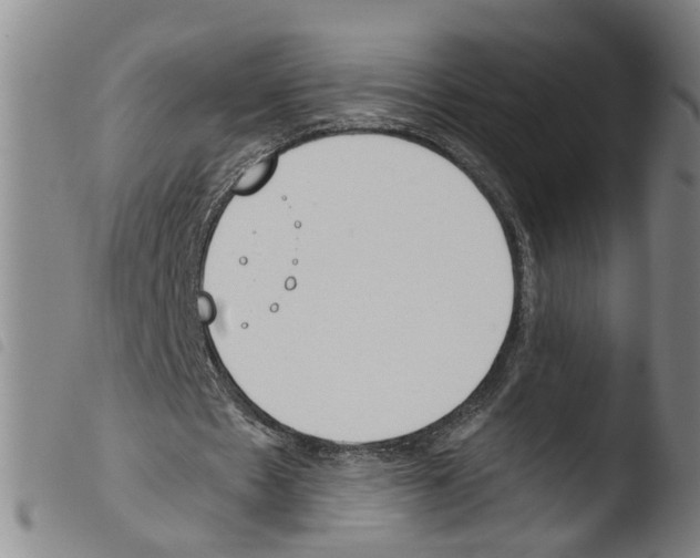 X0000103480481200810241041