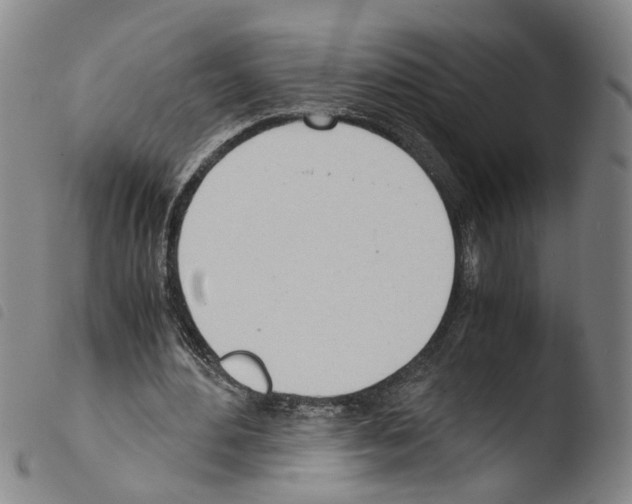 X0000103480484200810241041