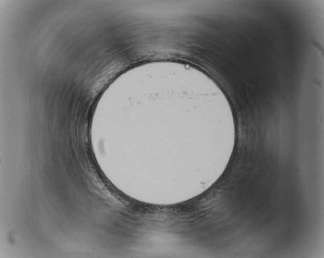X0000103480485200810241041