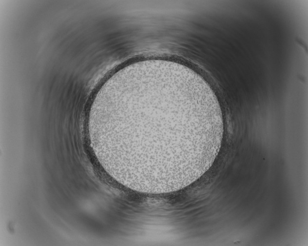 X0000103480487200810241041