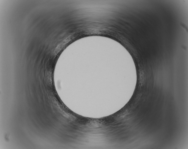 X0000103480489200810241041