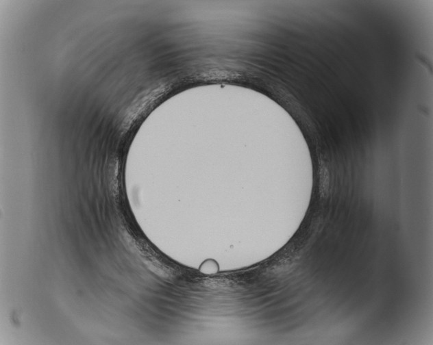 X0000103480490200810241041