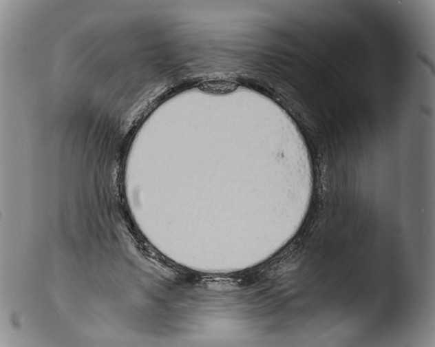 X0000103480491200810241041