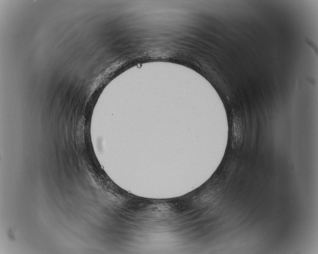 X0000103480492200810241041