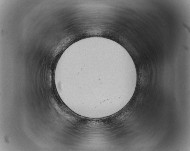 X0000103480494200810241041