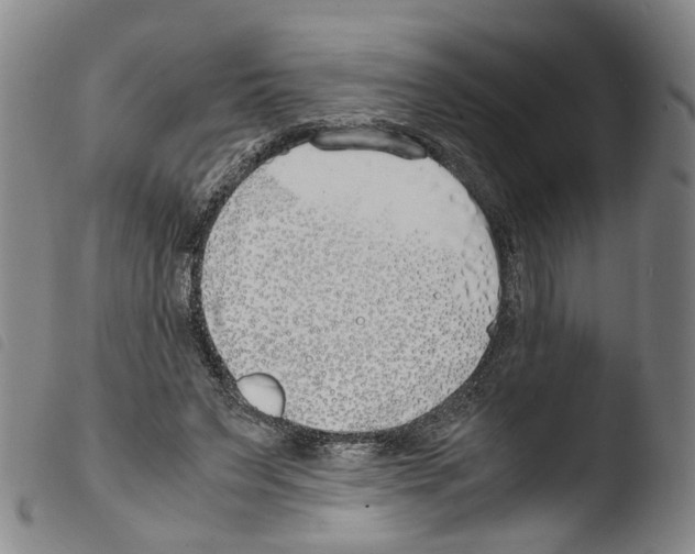 X0000103480495200810241041