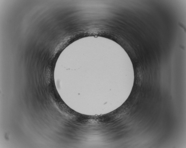 X0000103480496200810241041