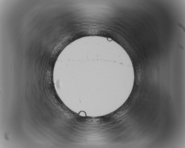 X0000103480497200810241041