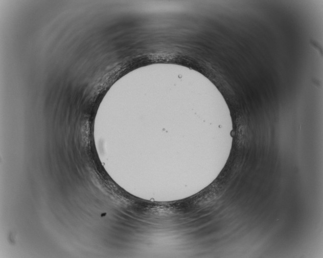 X0000103480498200810241041