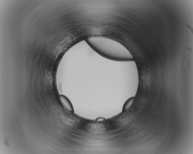X0000103480500200810241041