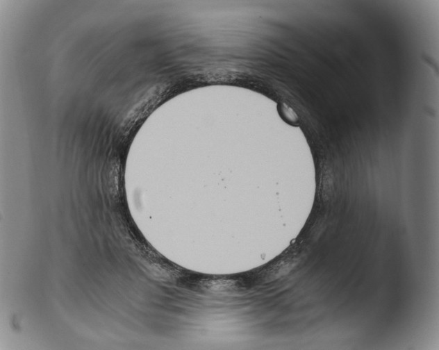 X0000103480501200810241041