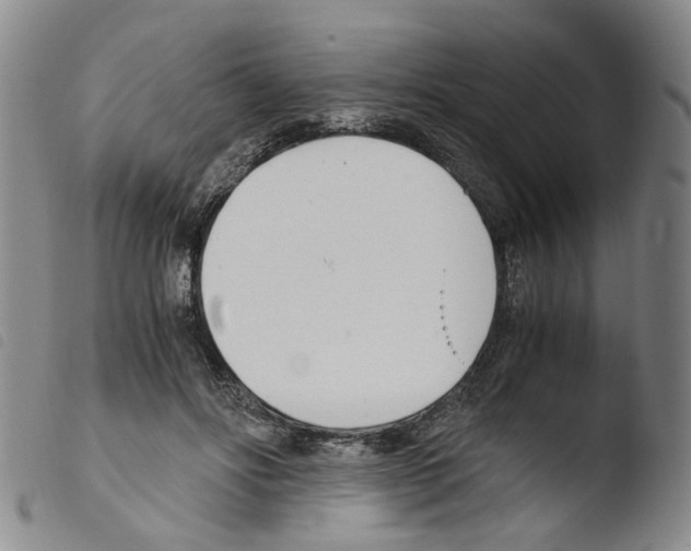 X0000103480502200810241041