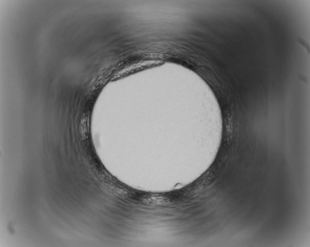 X0000103480503200810241041