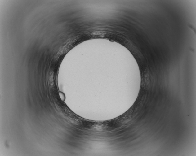 X0000103480504200810241041
