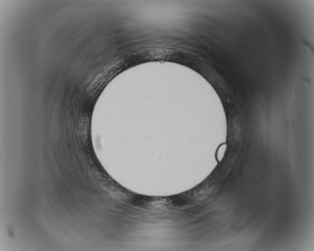 X0000103480505200810241041