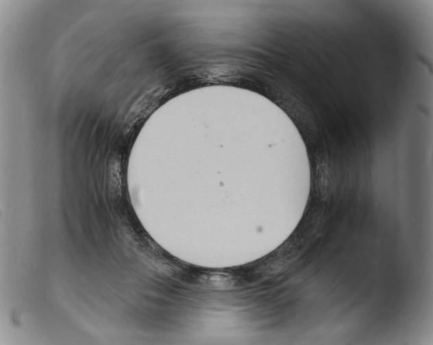 X0000103480506200810241041