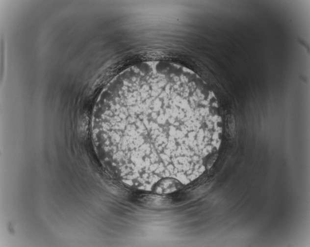 X0000103480507200810241041