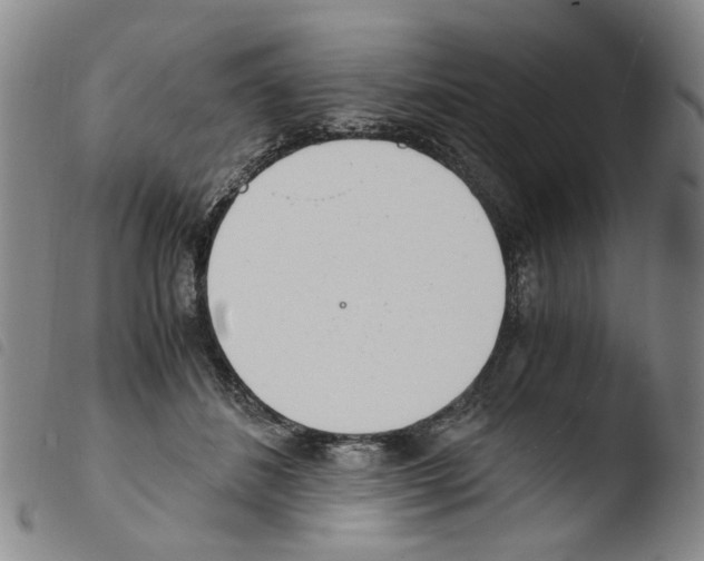 X0000103480508200810241041