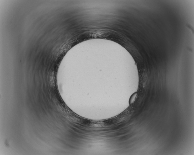 X0000103480510200810241041