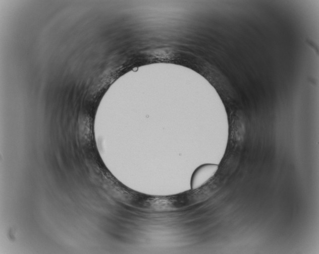 X0000103480518200810241041
